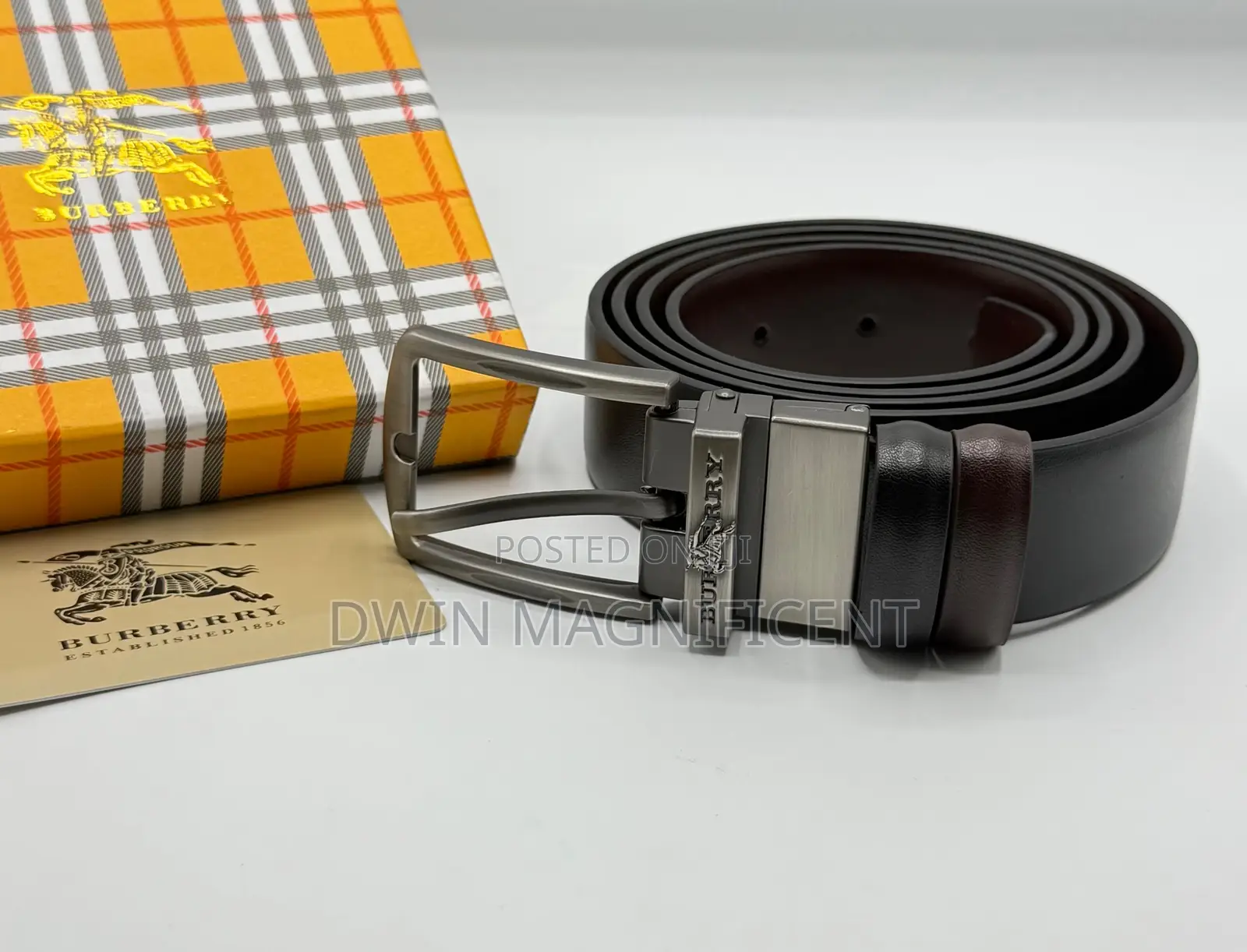 Versatile Reversible Belts
