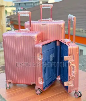Rimowa Suitcase / Luggage