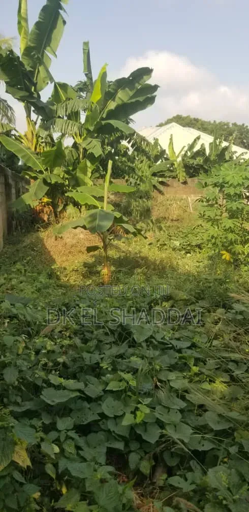 70 ×100 Plot of Land for Sale at Pokuase Fise