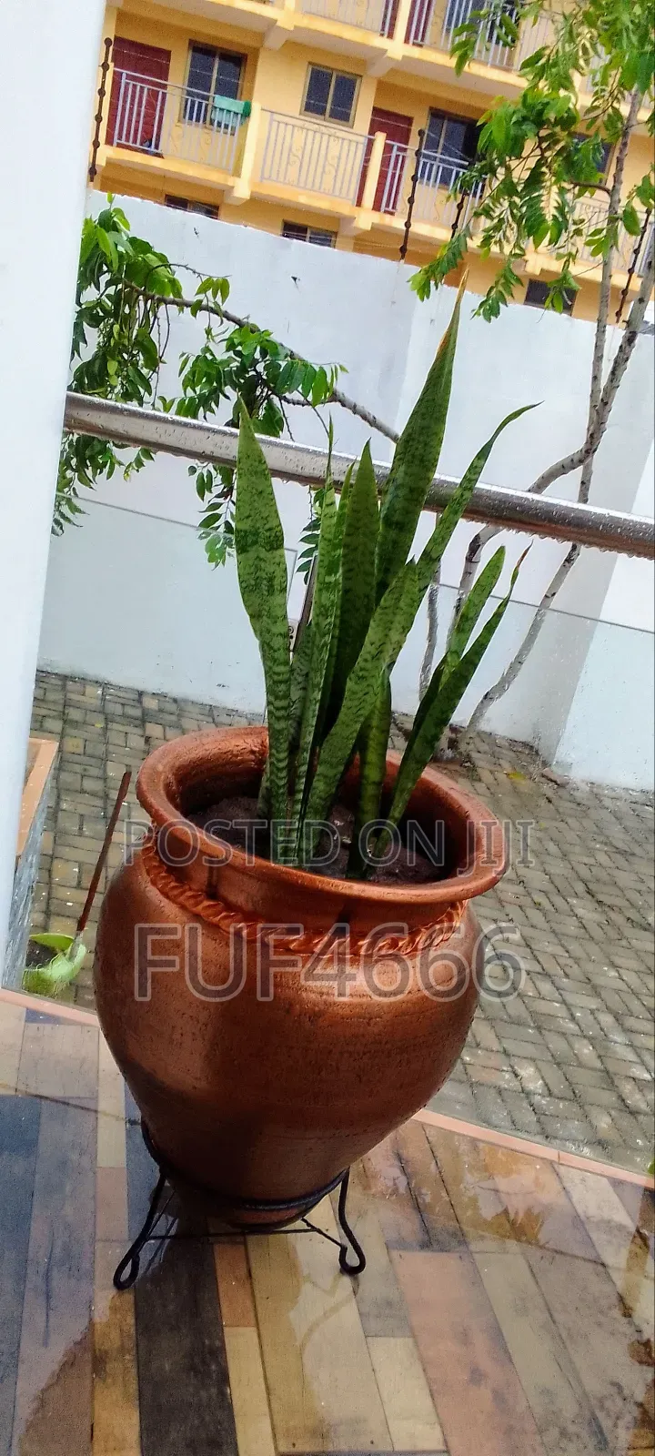 Flower Decoration