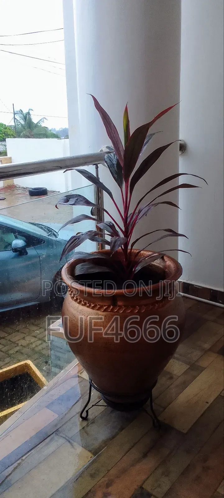 Flower Decoration