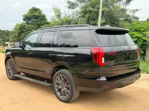 Ford Expedition Platinum 4x4 2025 Black