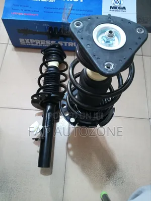 0960. Original Ford Focus Complete Strut Assembly Impo From USA
