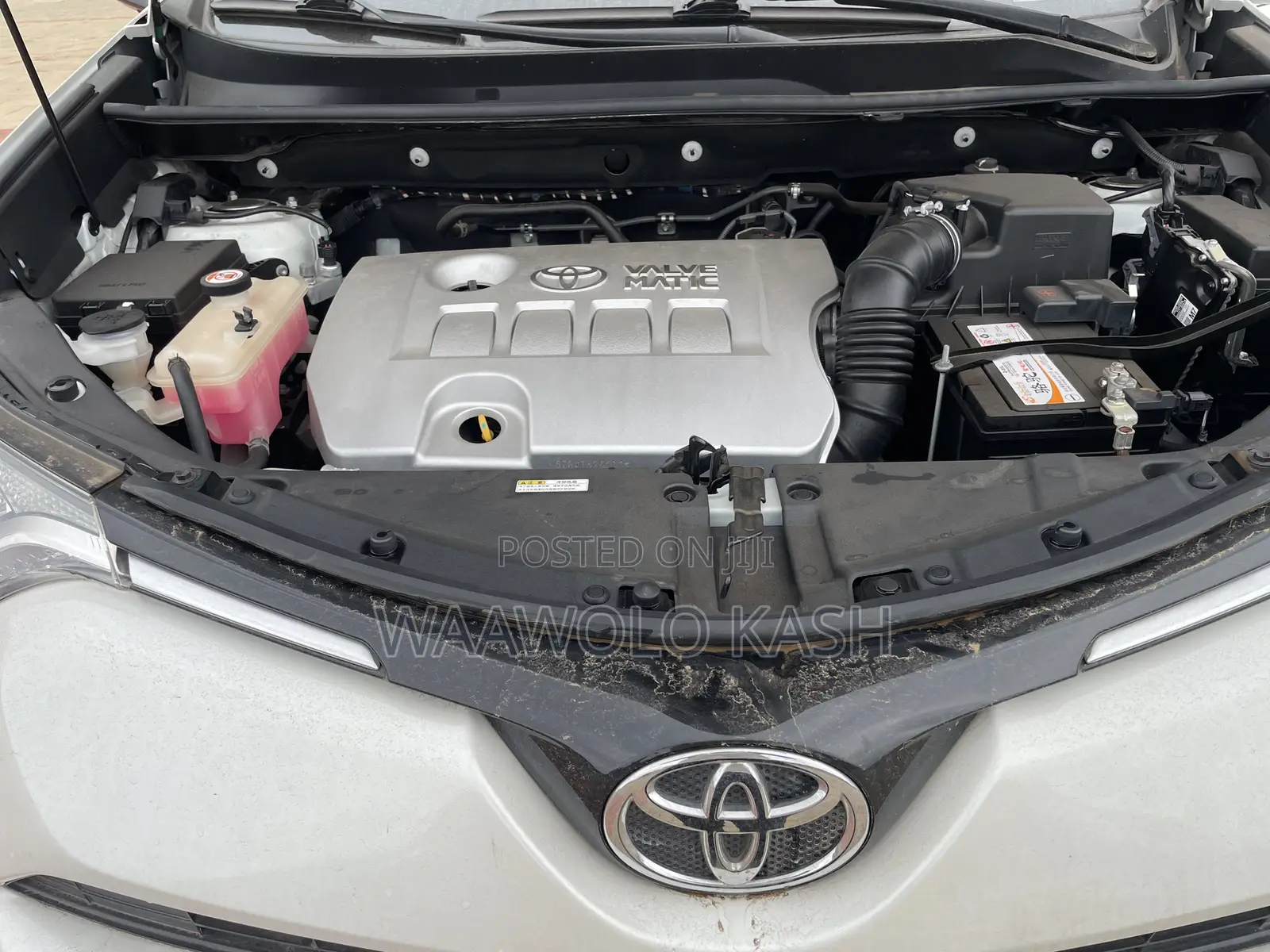 Toyota RAV4 LE FWD 2019 White