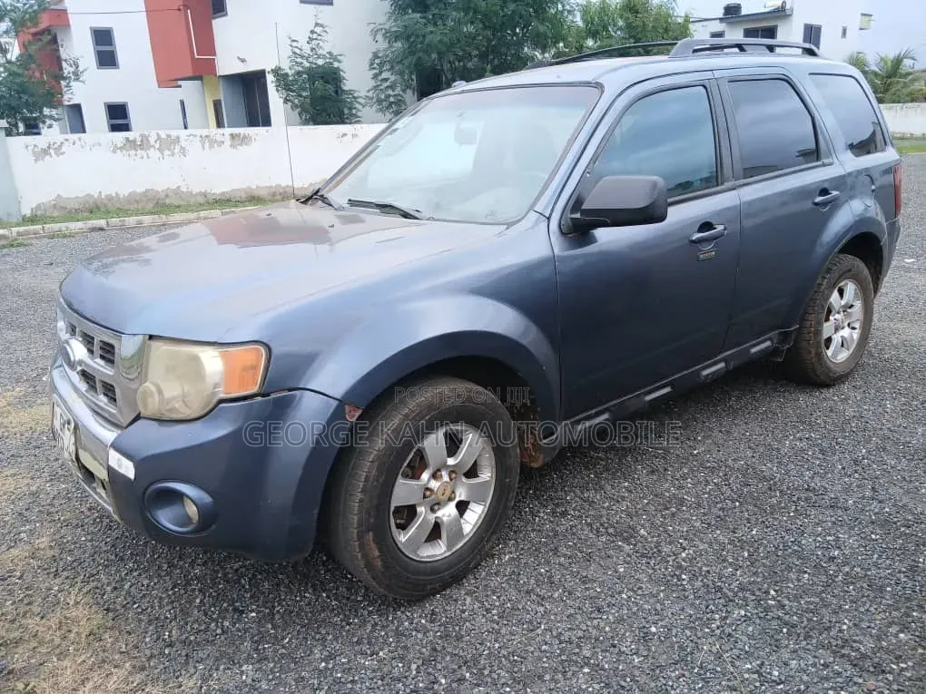 Ford Escape XLT 2010 Blue