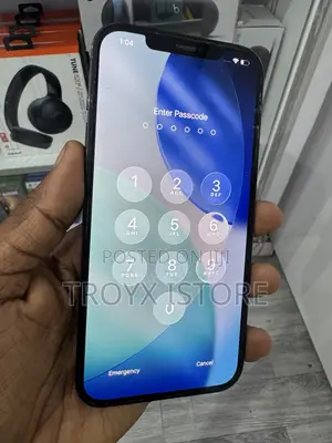 Apple iPhone 12 Pro Max 512 GB Blue
