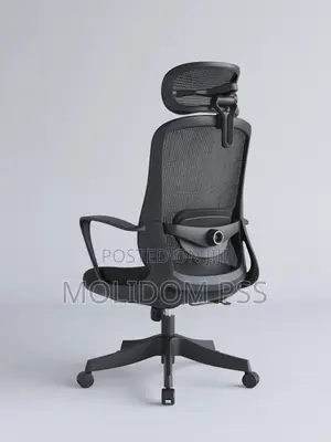Office Egornomic Chair New in Box