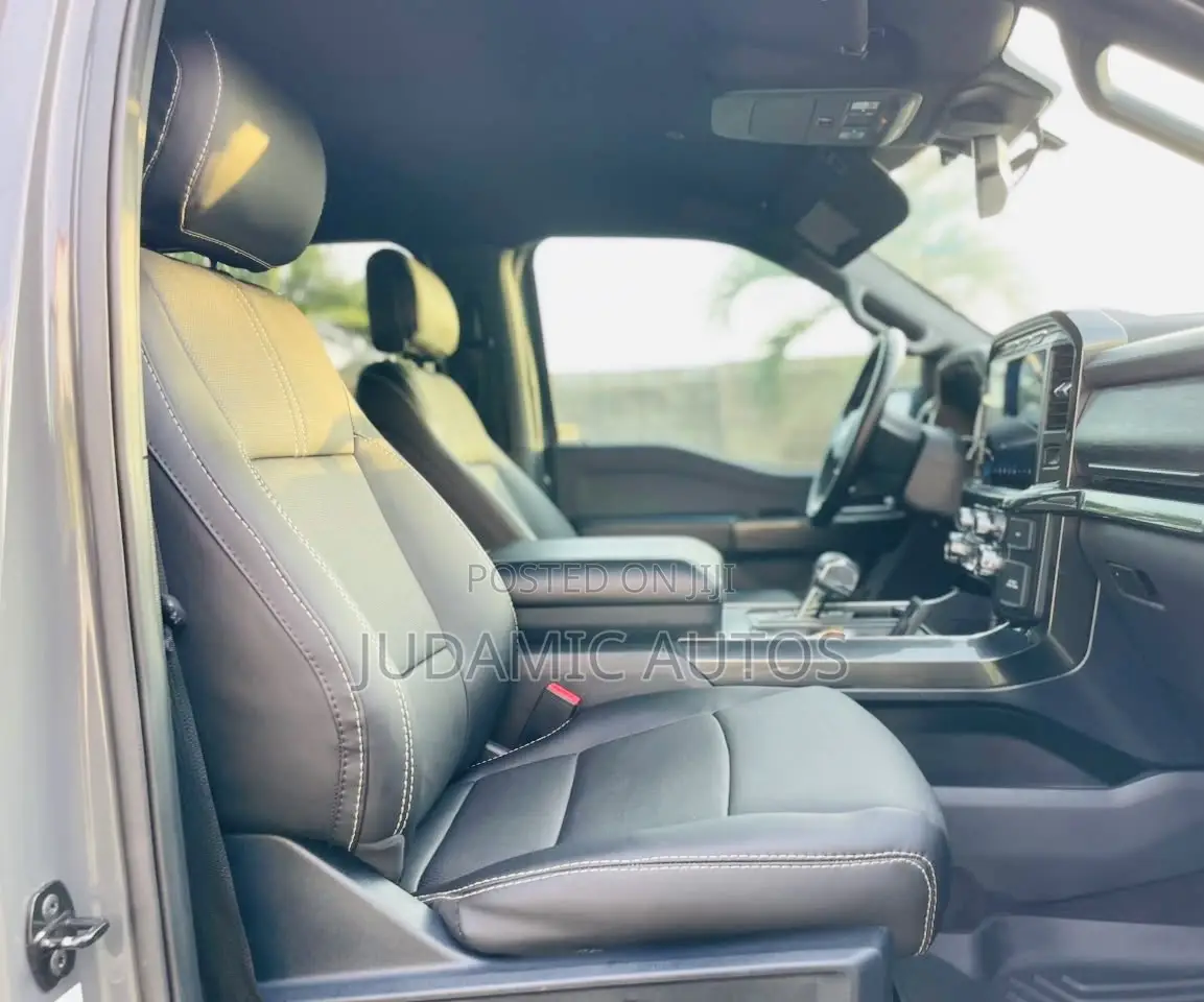 Ford F-150 2021 Gray
