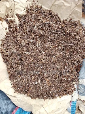 100kg Fish Meal Feed for Livestocks ,For Faster Growth