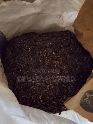 100kg Fish Meal Feed for Livestocks ,For Faster Growth