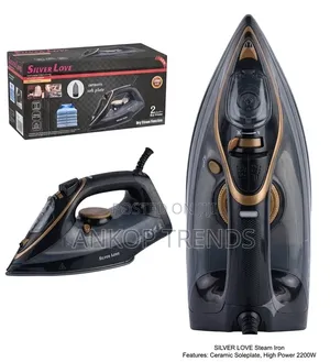 Steam Iron