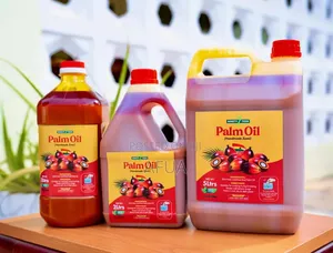 Pure Palm Oil (Zomi) for Sale