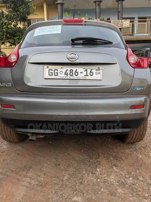 Nissan Juke 2013 Gray