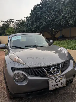 Nissan Juke 2013 Gray