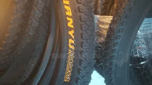 Bicycle Tires and Tubes
