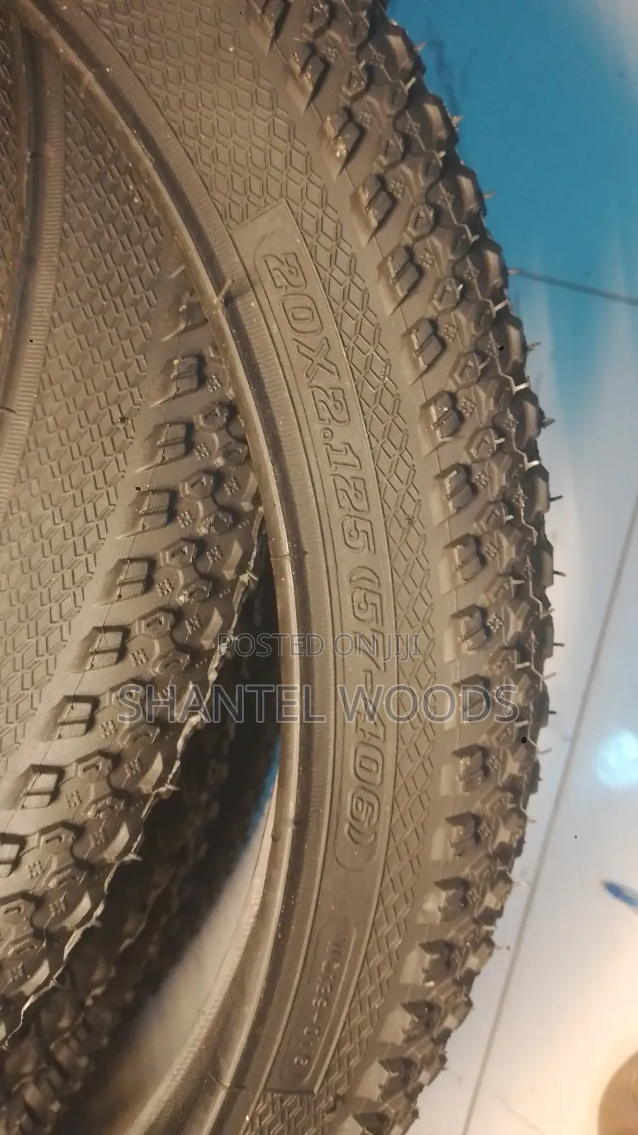 Bicycle Tires and Tubes