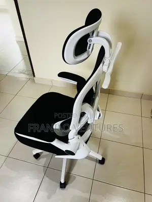 Ergonomic Mesh Office Chair