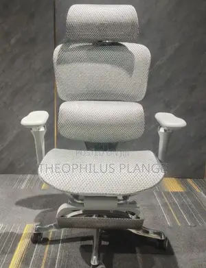 Alfordsom Ergonomic Swivel Chair