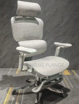 Alfordsom Ergonomic Swivel Chair