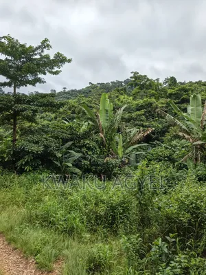 1.53 Acres of Land for Sale at Amedzofe, Volta Region