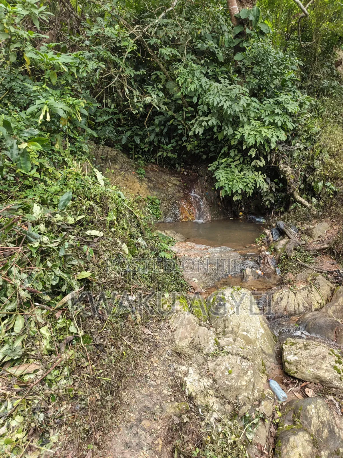 1.53 Acres of Land for Sale at Amedzofe, Volta Region