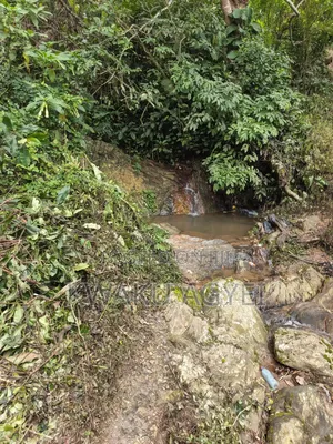 1.53 Acres of Land for Sale at Amedzofe, Volta Region