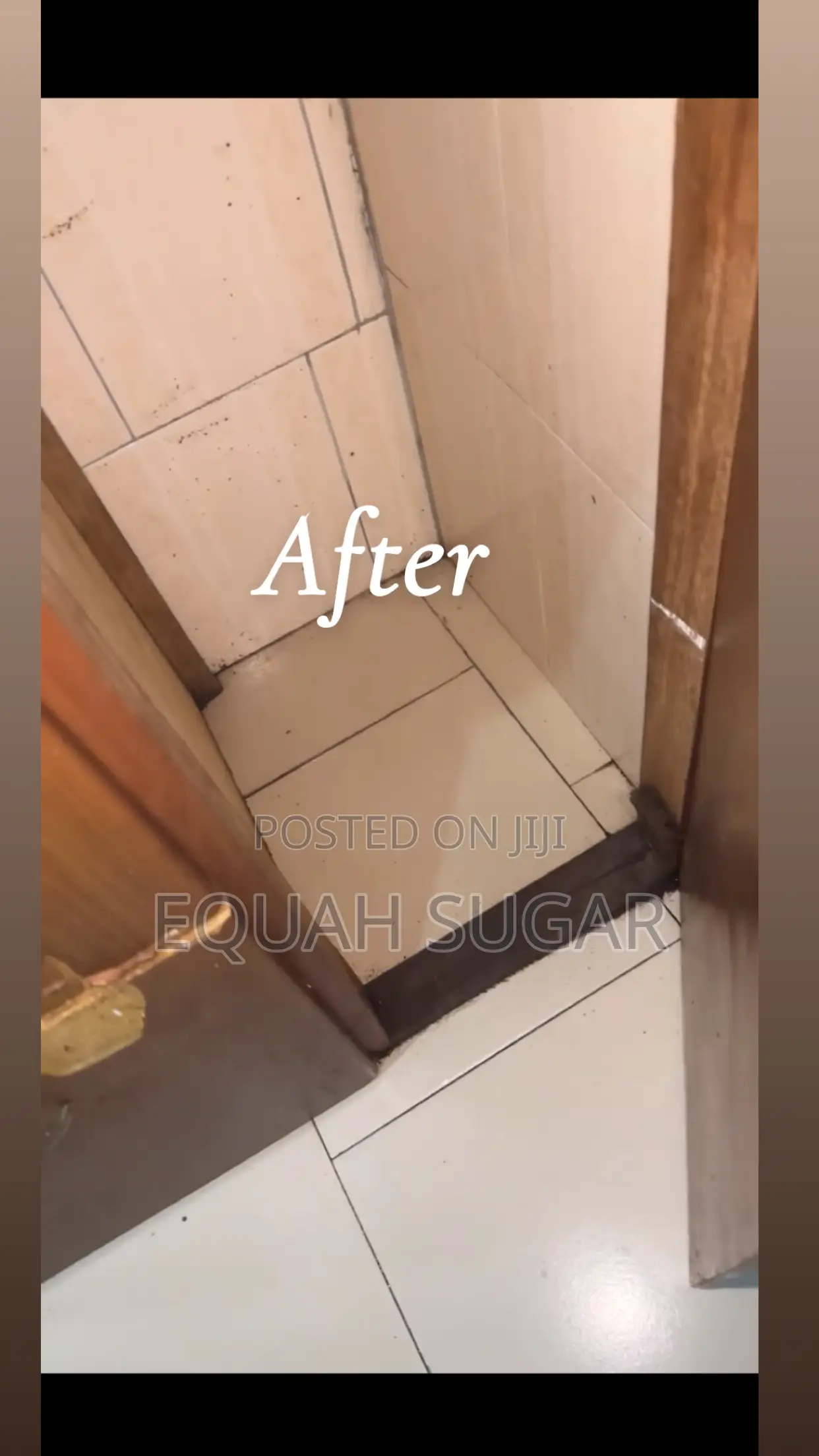 Cleaning Business