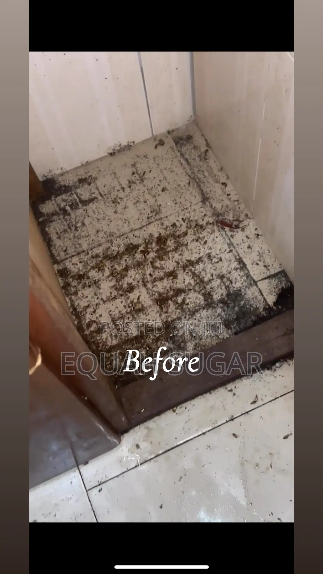 Cleaning Business