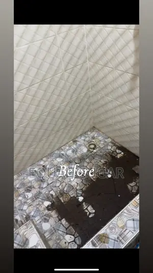 Cleaning Business