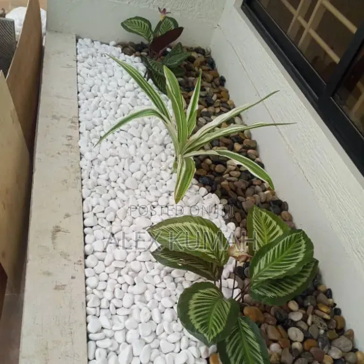 Brother Classic and Pebbles Stones