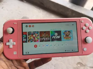 Jailbroken Switch Lite With 10 Games