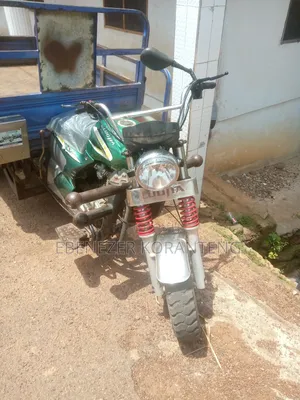 Luojia Clean Tricycle 2024 Green
