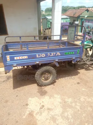 Luojia Clean Tricycle 2024 Green