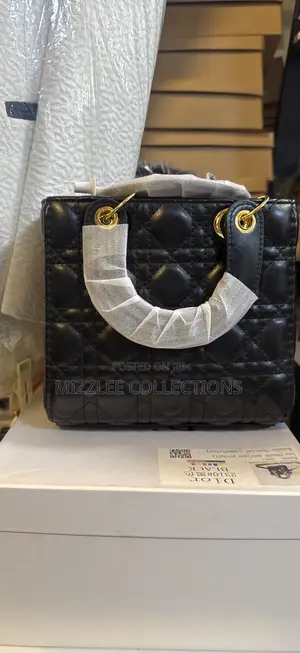 Quality Ladies Dior Bag in Different Colours