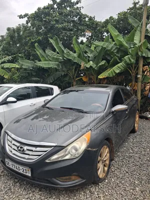 Hyundai Sonata 2013 Gray