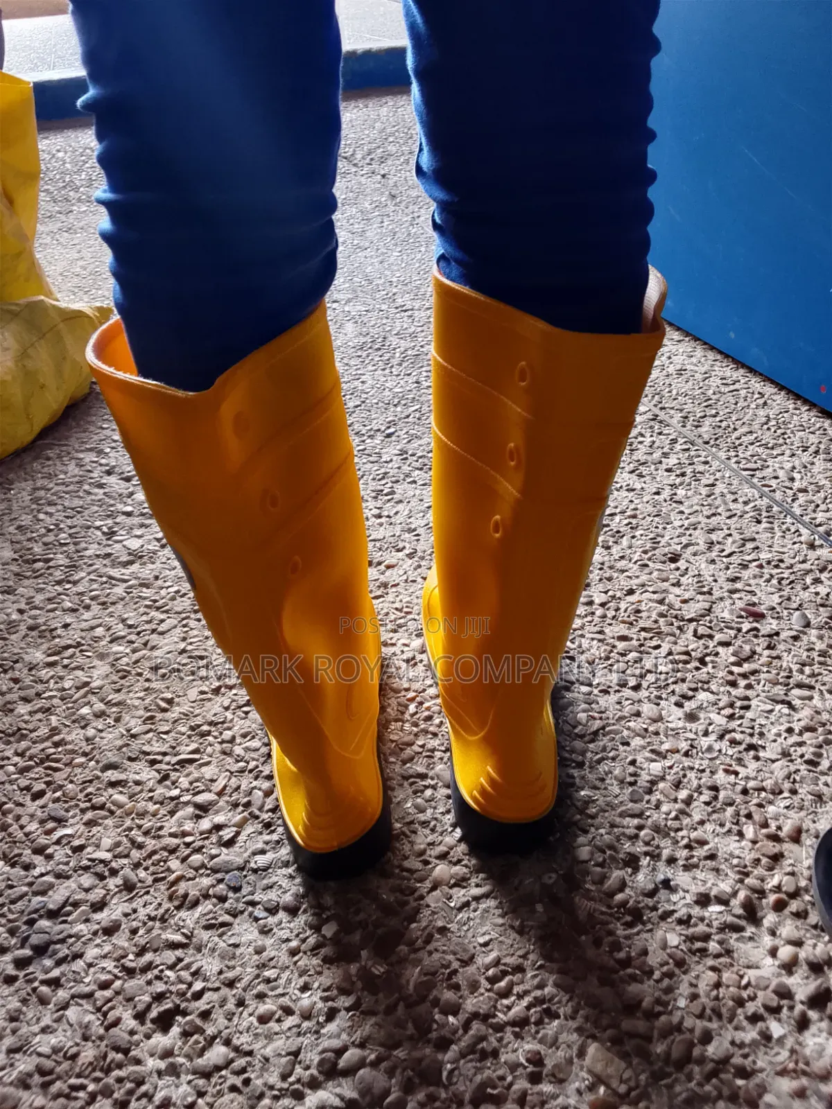 Wellington Boots