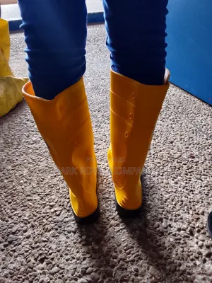 Wellington Boots