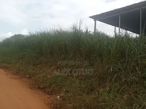 Main Road Plots of Land 80/180