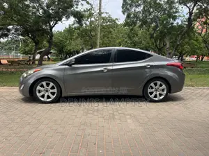 Hyundai Elantra 2014 Gray