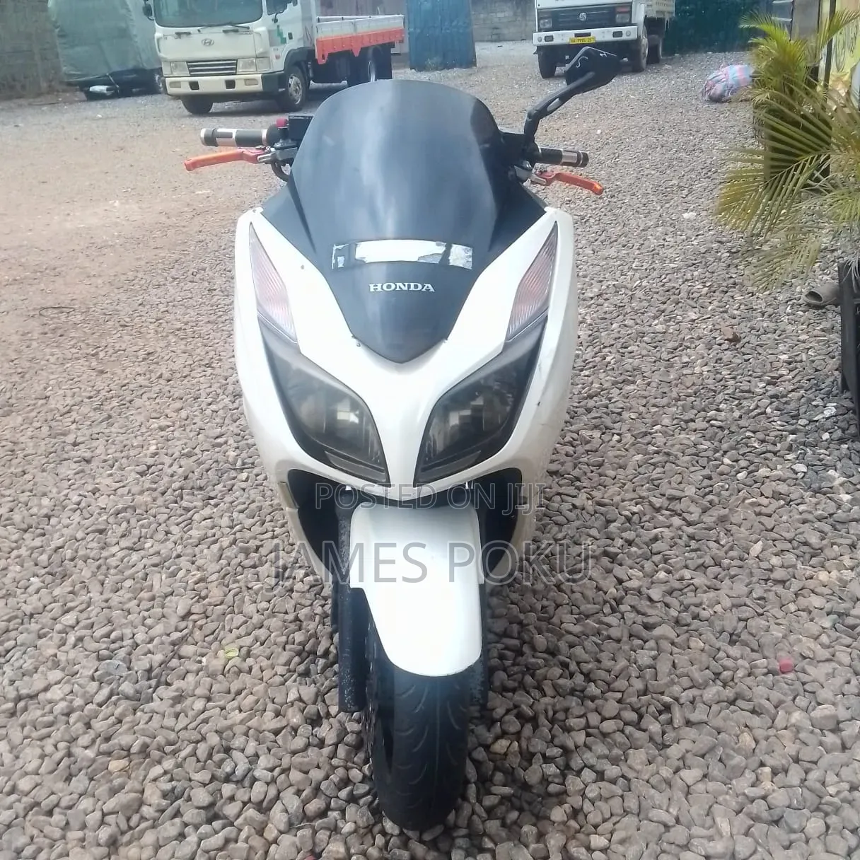 Honda 2020 White