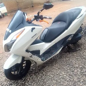 Honda 2020 White