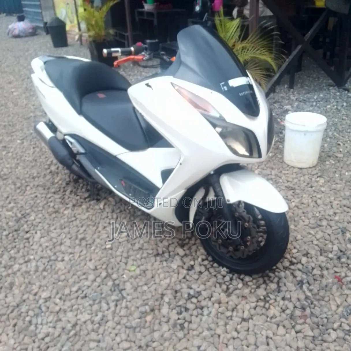 Honda 2020 White