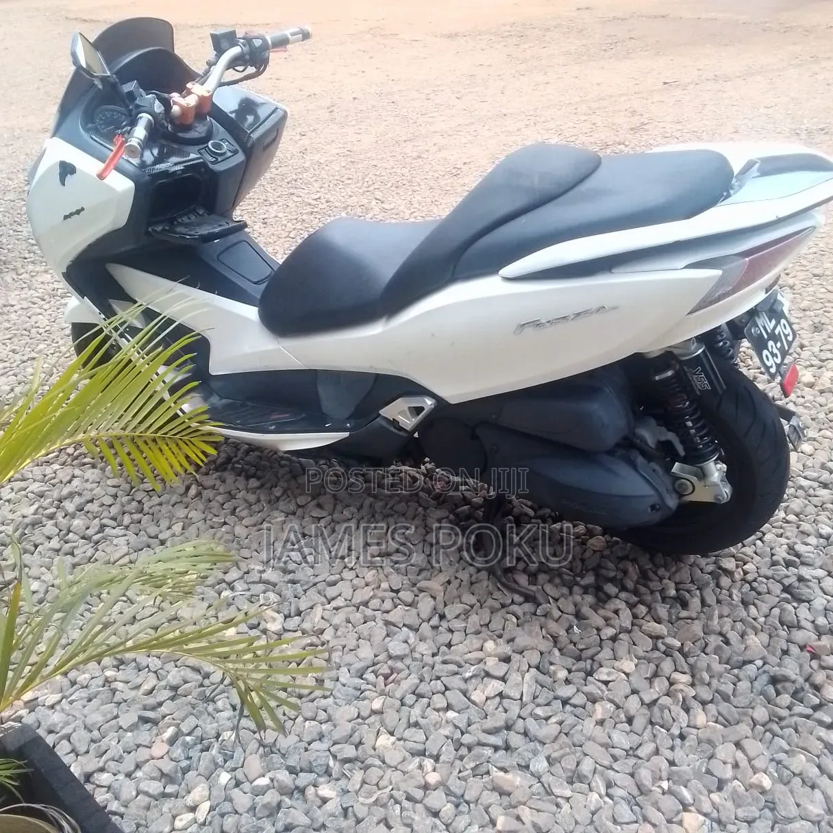 Honda 2020 White