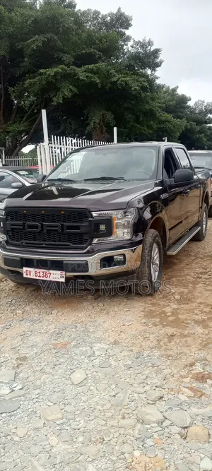 Ford F-150 2018 Brown