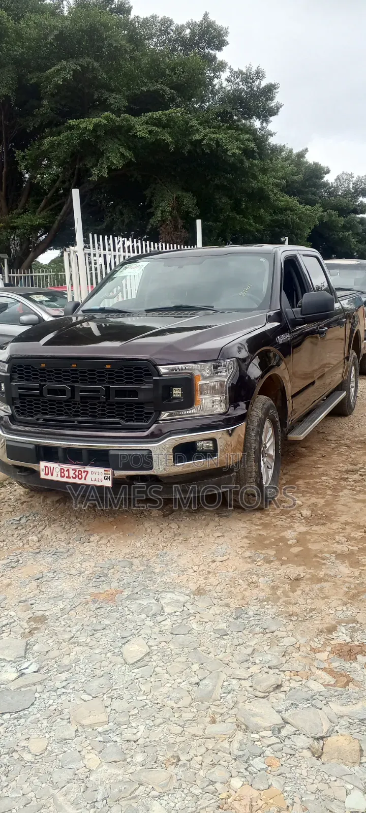 Ford F-150 2018 Brown