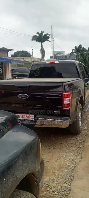 Ford F-150 2018 Brown