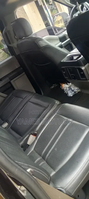 Ford F-150 2018 Brown