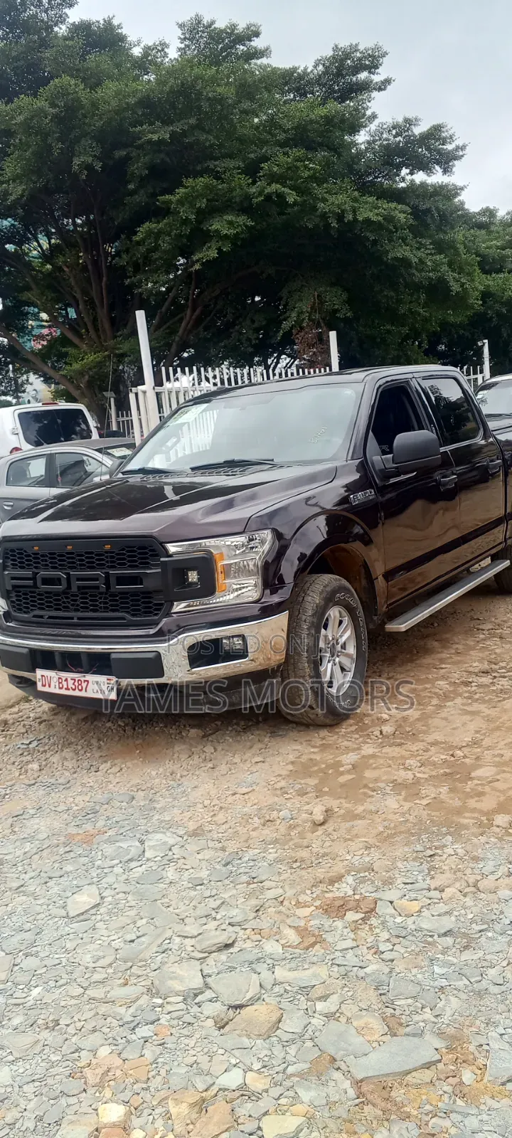 Ford F-150 2018 Brown