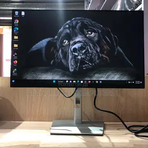 Dell Monitor - Non Edgeless