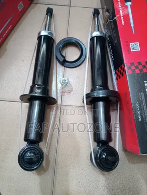 0869. Premium Quality FCS Ford F150 Strut Without Spring From USA